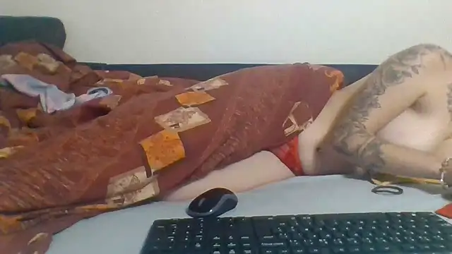 Reinemanon webcam