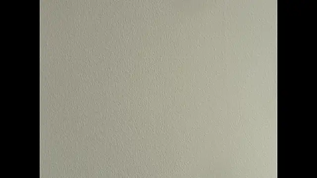 Angell_cooper webcam