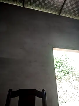 toyo_668 webcam