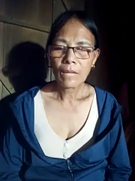 toyo_668 webcam