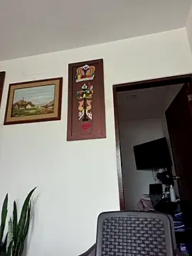 IrisBound webcam
