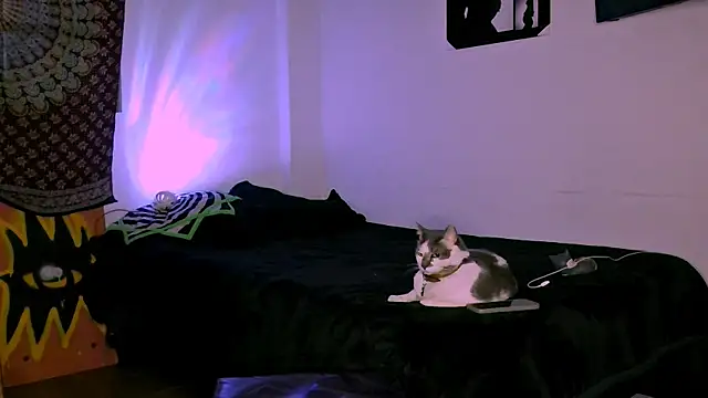 alex_one888 webcam
