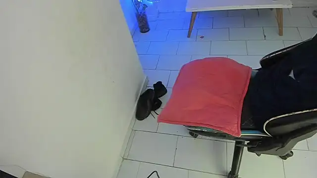 Darwin_mayo webcam