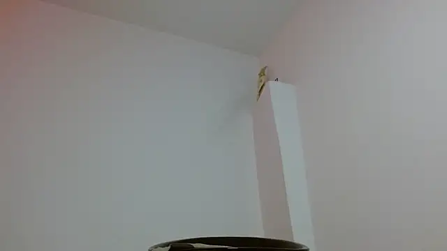 Twinkcock22 webcam
