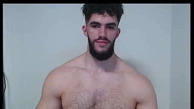 hiddenf webcam
