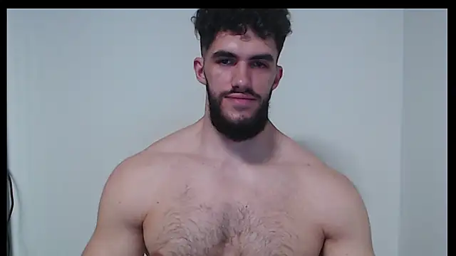 hiddenf webcam