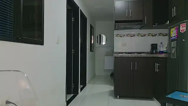 grey___27 webcam
