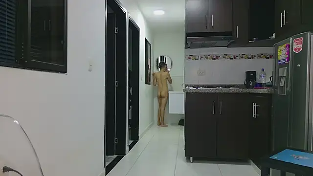 grey___27 webcam