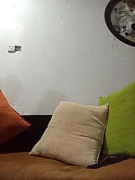 sudunona2 webcam