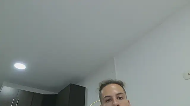 grey___27 webcam