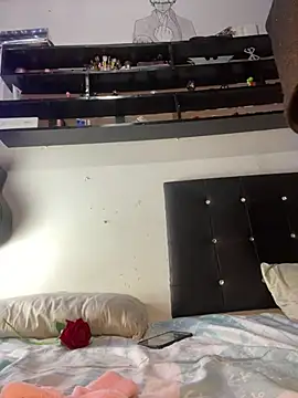 MeilyMuse_Maximus webcam