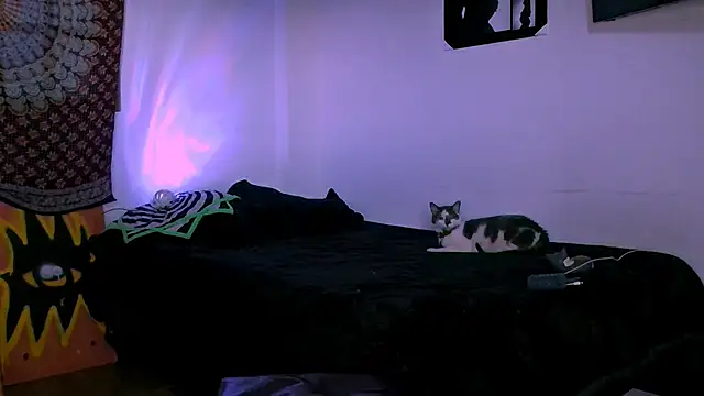 alex_one888 webcam