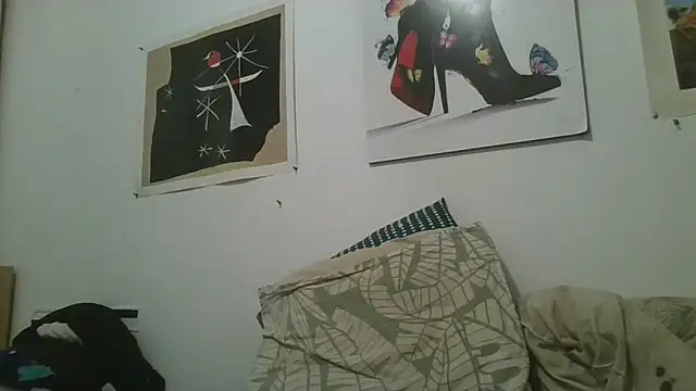 Bakala93Du34000 webcam