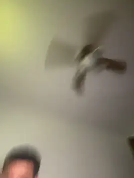 StrokingDaddy4
