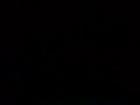82liska webcam