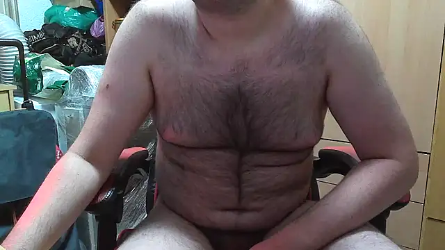 Javier_bear webcam