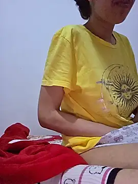 altinya webcam