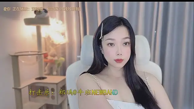 facai-feifei webcam