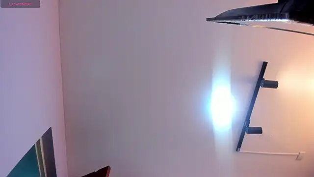 Alice_BMS webcam