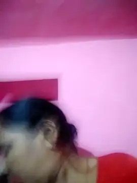 Loomaraj webcam
