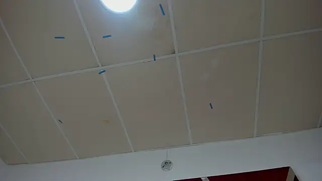 MilaDivine webcam