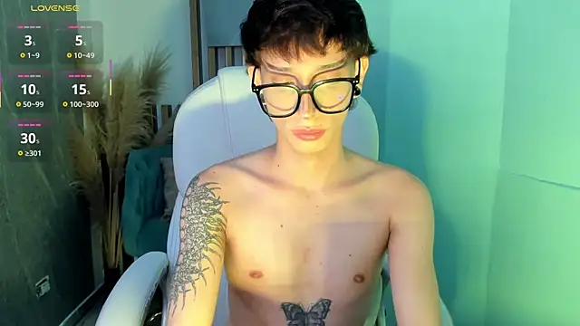 AndyWiilliams webcam