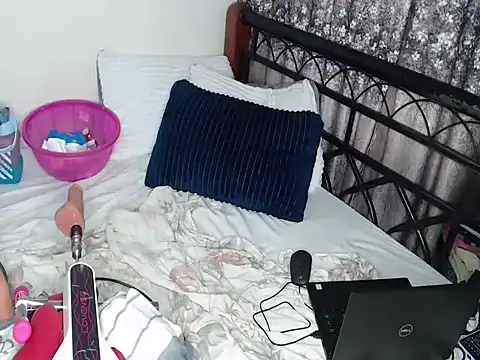 Whimsicalwillow webcam