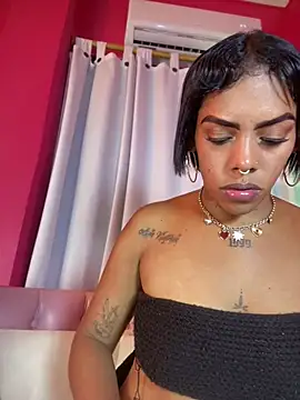 NovaFoxx webcam