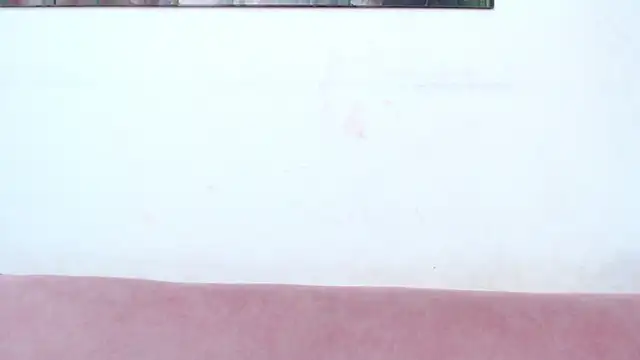 pinky_f00x webcam