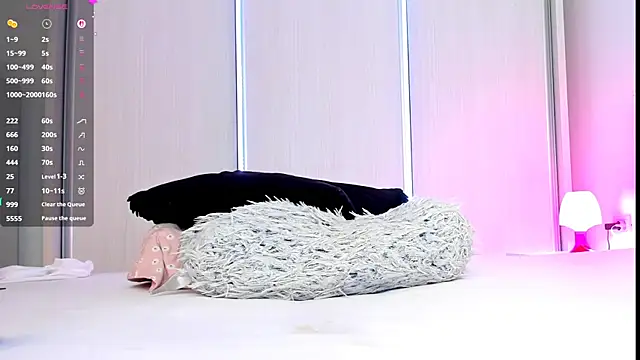 Aidasina webcam