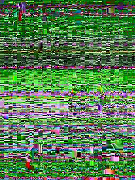 laemmarouse webcam