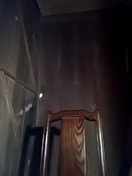 toyo_668 webcam