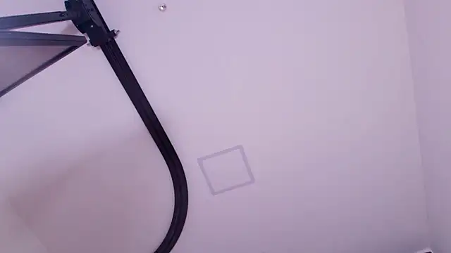 caata_cata webcam