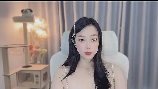 facai-feifei webcam