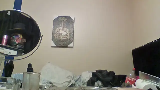 hailzeffn webcam