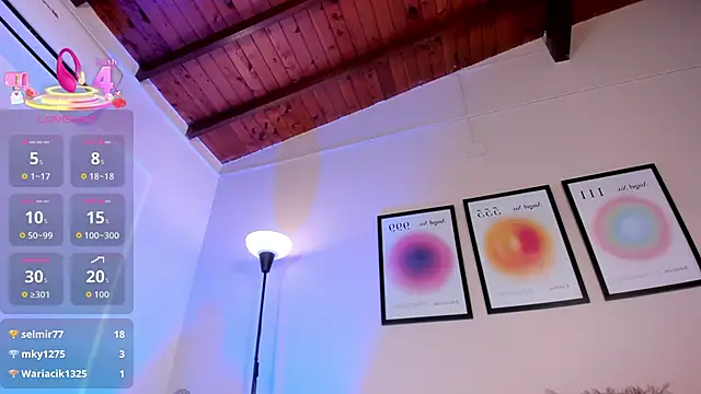 AriaMuse webcam