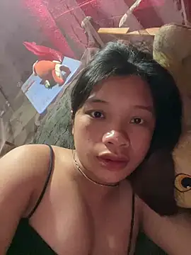 beobeo_2xx webcam