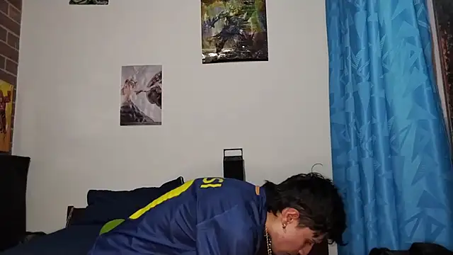 PaulDamico webcam