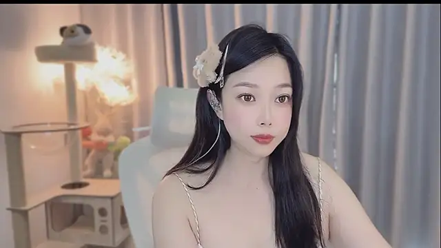 facai-feifei webcam