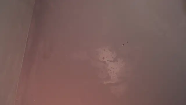 AngeloBellini webcam