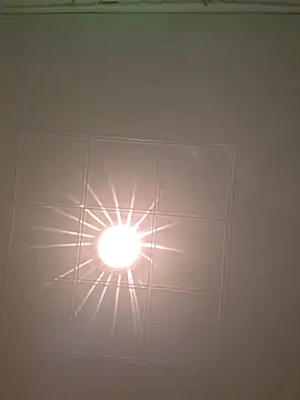 Pollon41x webcam
