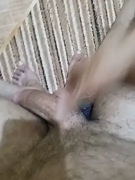 EgyptianHorse webcam