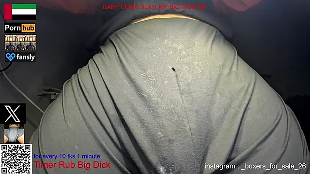 bfs26 webcam