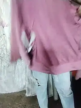 Sea-ice webcam