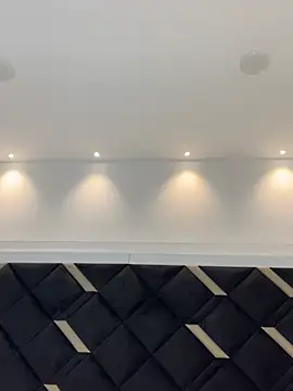 Alexa_Handler webcam