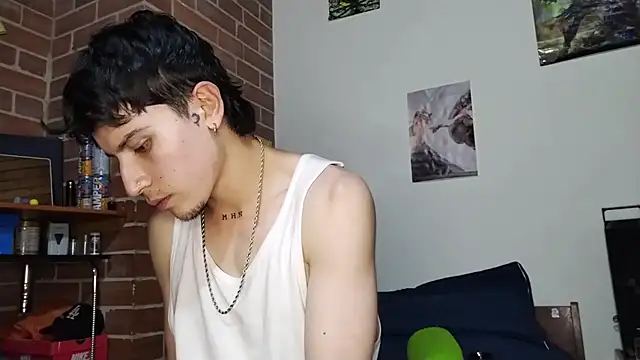 PaulDamico webcam