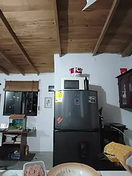 Skynnyn webcam