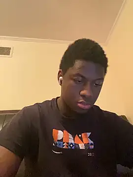 ThickDic28 webcam