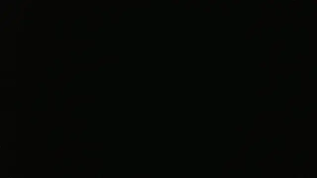 069kinchan webcam
