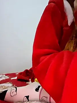 altinya webcam